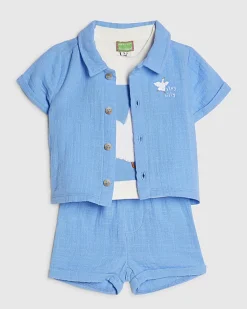 Baby Boys Blue Goose T-Shirt Set