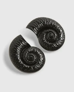 Black Ammonite Shell Earrings