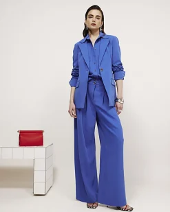 Blue Cinch Back Blazer