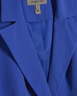 Blue Cinch Back Blazer
