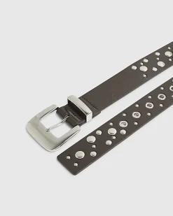 Brown Studded Belt