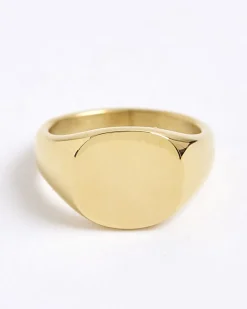 Gold Steel Signet Ring