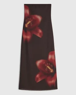 Petite Brown Mesh Floral Bandeau Midi Dress